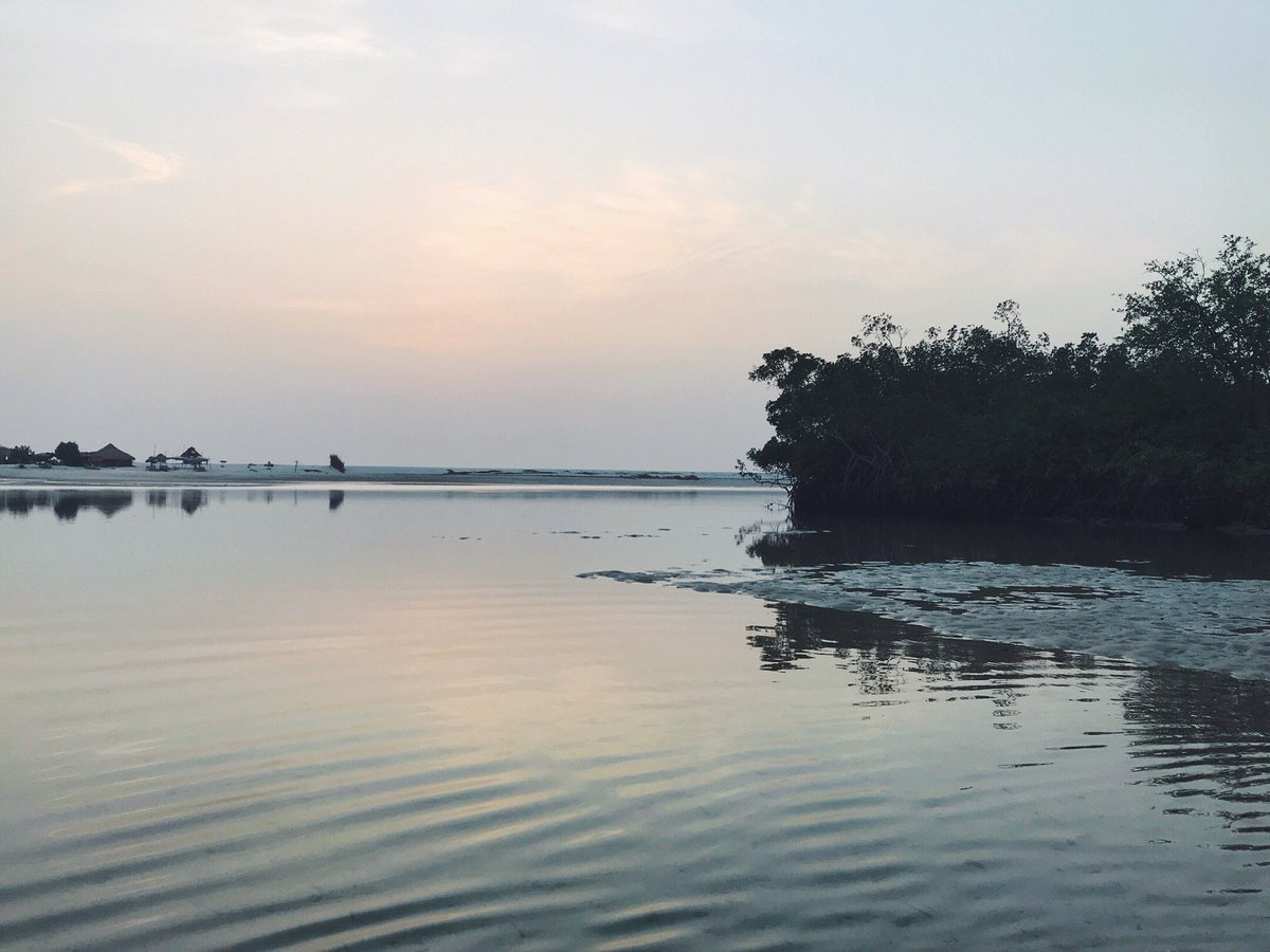 Sitting on a beach, reflecting on my first semester, and planning for the next one. 2018 i off to a good start. Latest blog post: minimalistmba.com/posts/2018/1/9…