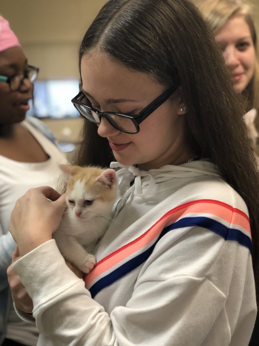 Huntsville Jr. High tweet media