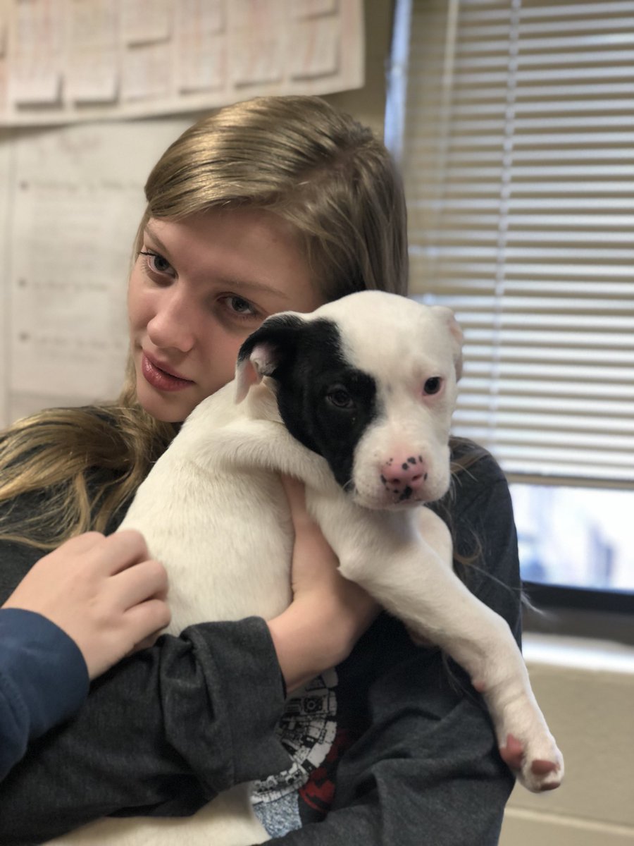 Huntsville Jr. High tweet media