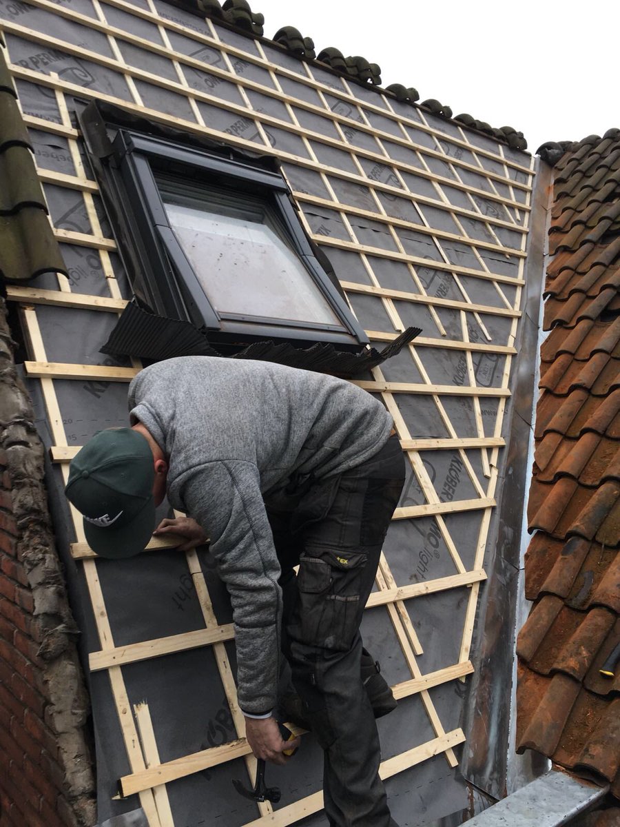 HandigeMeeuwen tweet picture