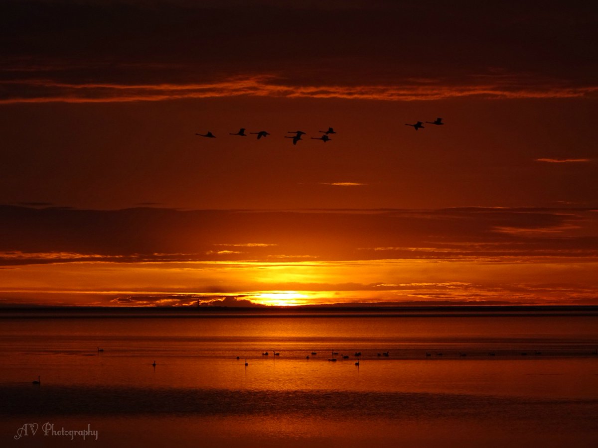 ArchieVozz's tweet image. Sunset at St. Kilda Beach in Adelaide,South Australia..