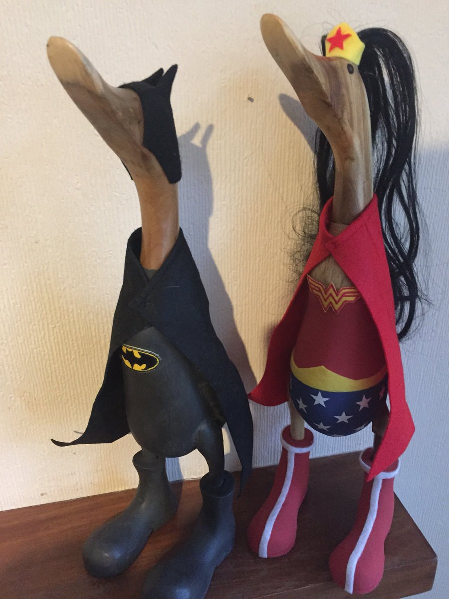 WendyBaldry's tweet photo. Loving my Superhero Ducks that arrived today! Thanks @hillviewducks #superheroes https://t.co/YXvejx2SIy