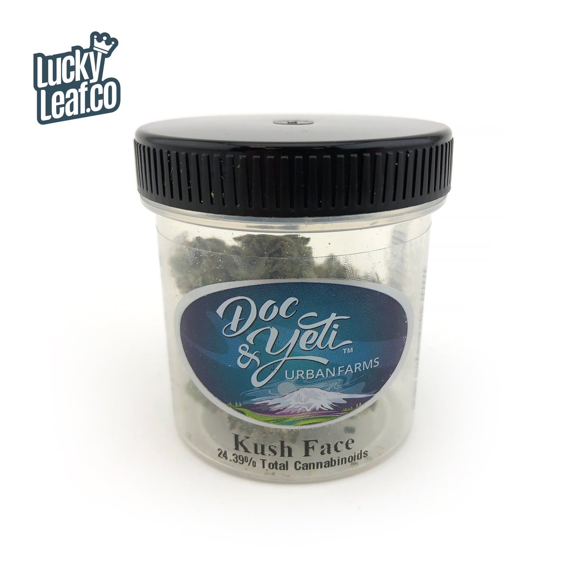 LuckyLeafCo's tweet photo. Here’s a couple shots of the #kushface grown by our friends @docandyetifarm now in stock! ✌️🔥💨
#cannabis #weed #dank #chronic #ganja #terps #wakeandbake #marijuana #joints #i502 #dope #spokane #stoner #weedporn #luckyleafco #dabs #concentrates #wax #vape #cannabiscommunity https://t.co/Lwg6654LF4
