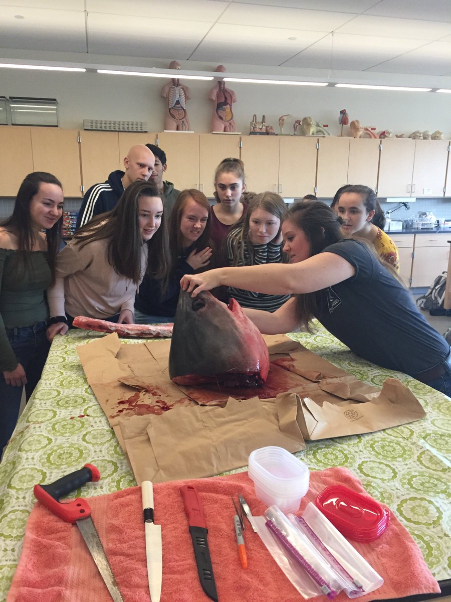 MonomoyBio's tweet photo. #MyStudentsAreAwesome #monomoysharks https://t.co/po5GAsUBIJ