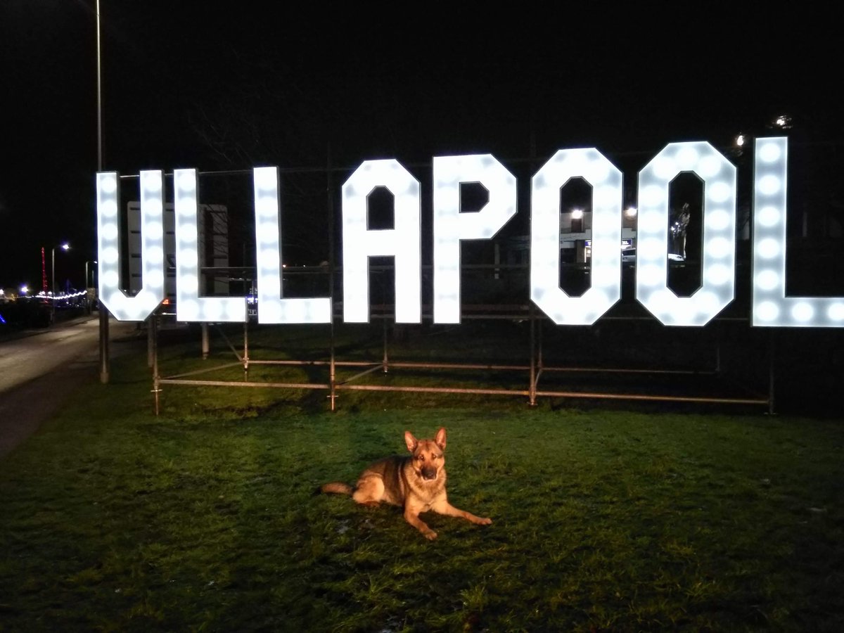 PSOSDogs's tweet photo. #PDKyle & #PDOss supporting local officers in Ullapool & Kyle of Lochalsh over past 10 days. #ServeProtect #Teamwork #Scotland #policedogs https://t.co/n96TTzQEjS