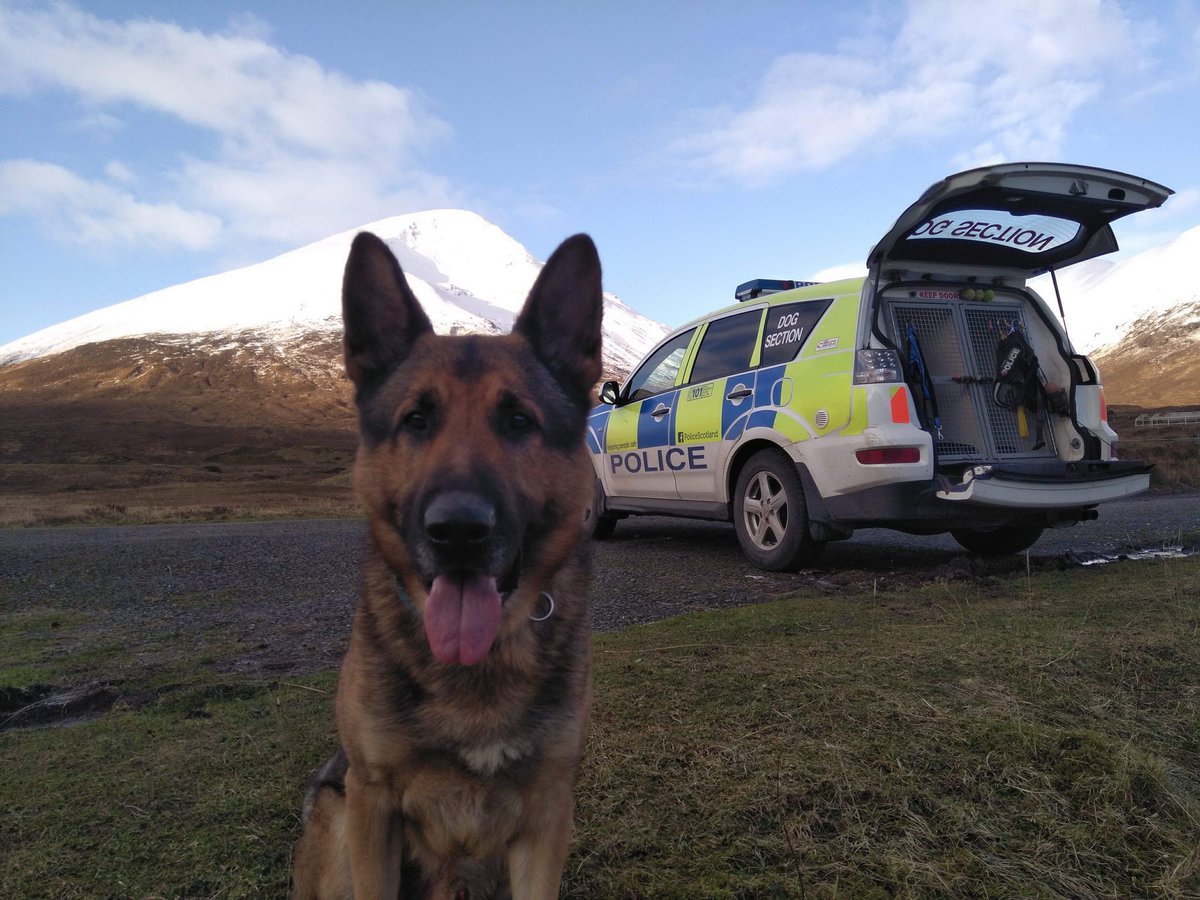PSOSDogs's tweet photo. #PDKyle & #PDOss supporting local officers in Ullapool & Kyle of Lochalsh over past 10 days. #ServeProtect #Teamwork #Scotland #policedogs https://t.co/n96TTzQEjS