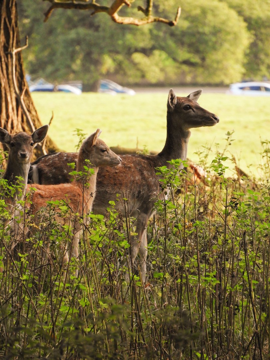 ‘One lil’ family’ - An Image by Photella Photography. View her profile and join her on togify.co.uk today.