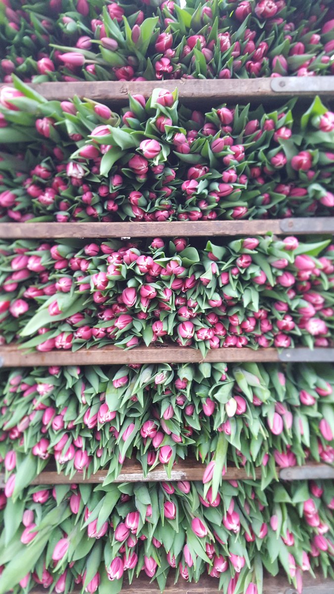 Mark Eves tweet media