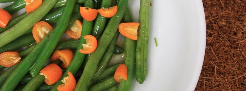 Need #freefrom salad &amp; side dish #recipes? No problem! Filter our community's recipes here: bit.ly/2m70Jnd