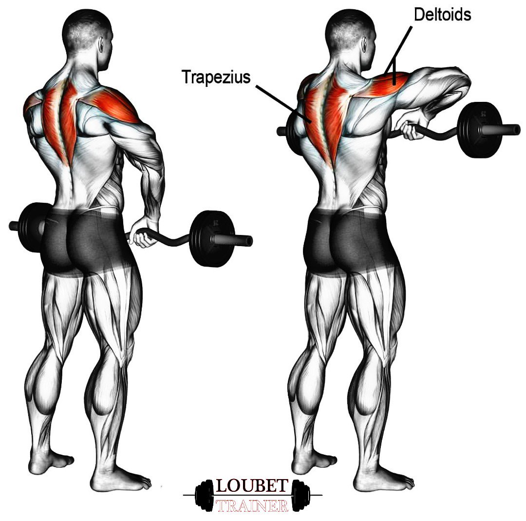 LoubetTrainer's tweet photo. Trabaja #deltoides y #trapecio
#fitness #gym #proteins #leanstrength #look #life #health #motivation #transformation #change #goals #shredded #workout #fitnessnation #fitfam #gymlife #bodybulding #bbg #tfl #f4f #followforfollow #inspiration #instalike #love #fitnesslifestyle https://t.co/S56AdY6COI