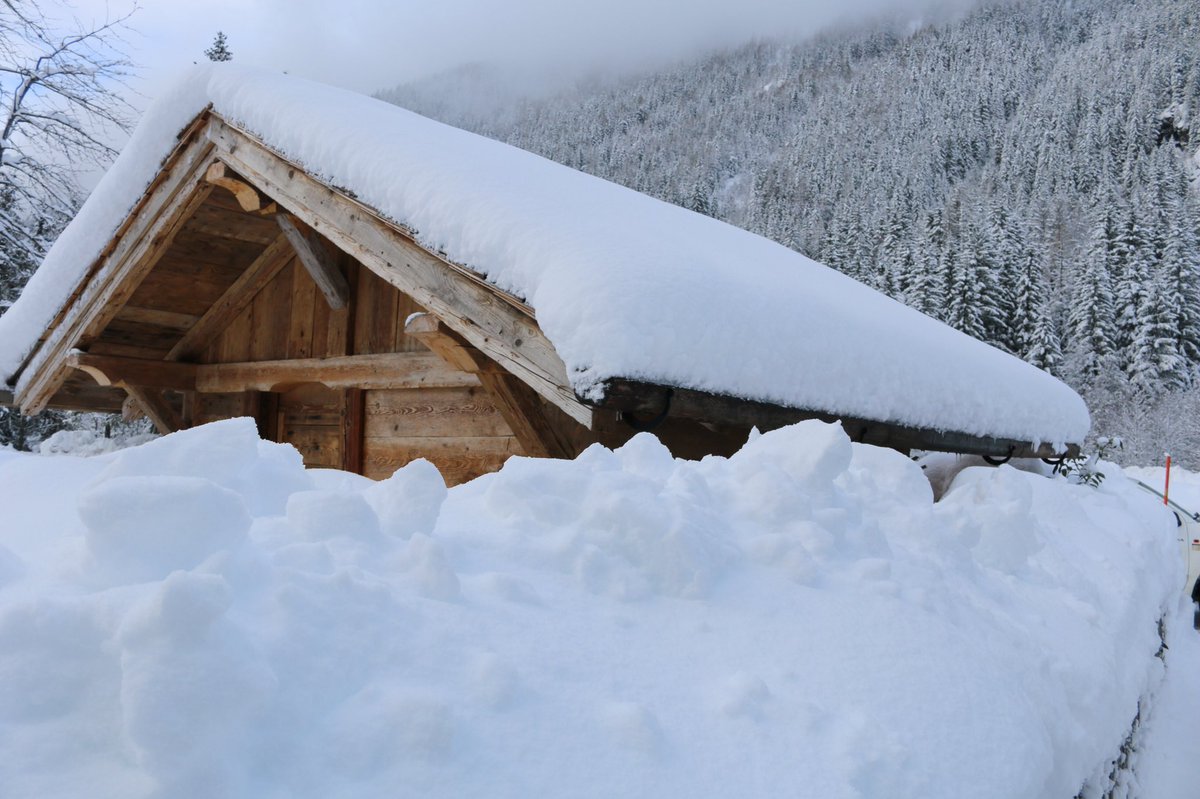 arbrebleushop's tweet photo. C'est un hiver si beau. sans couches de laine, nous ne quittons pas la maison. jetez un oeil à notre collection d'hiver. https://t.co/npFGg8Xccz #arbrebleu https://t.co/EqYHB5n8Ft