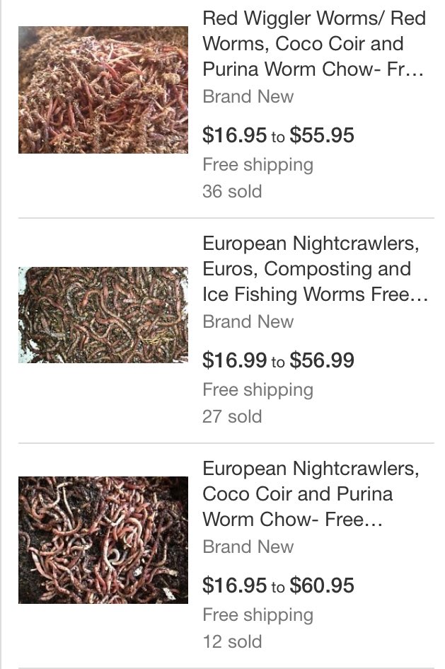 WormsWay's tweet photo. Market price for composting worms #vermiculture https://t.co/51hHIfRwlg