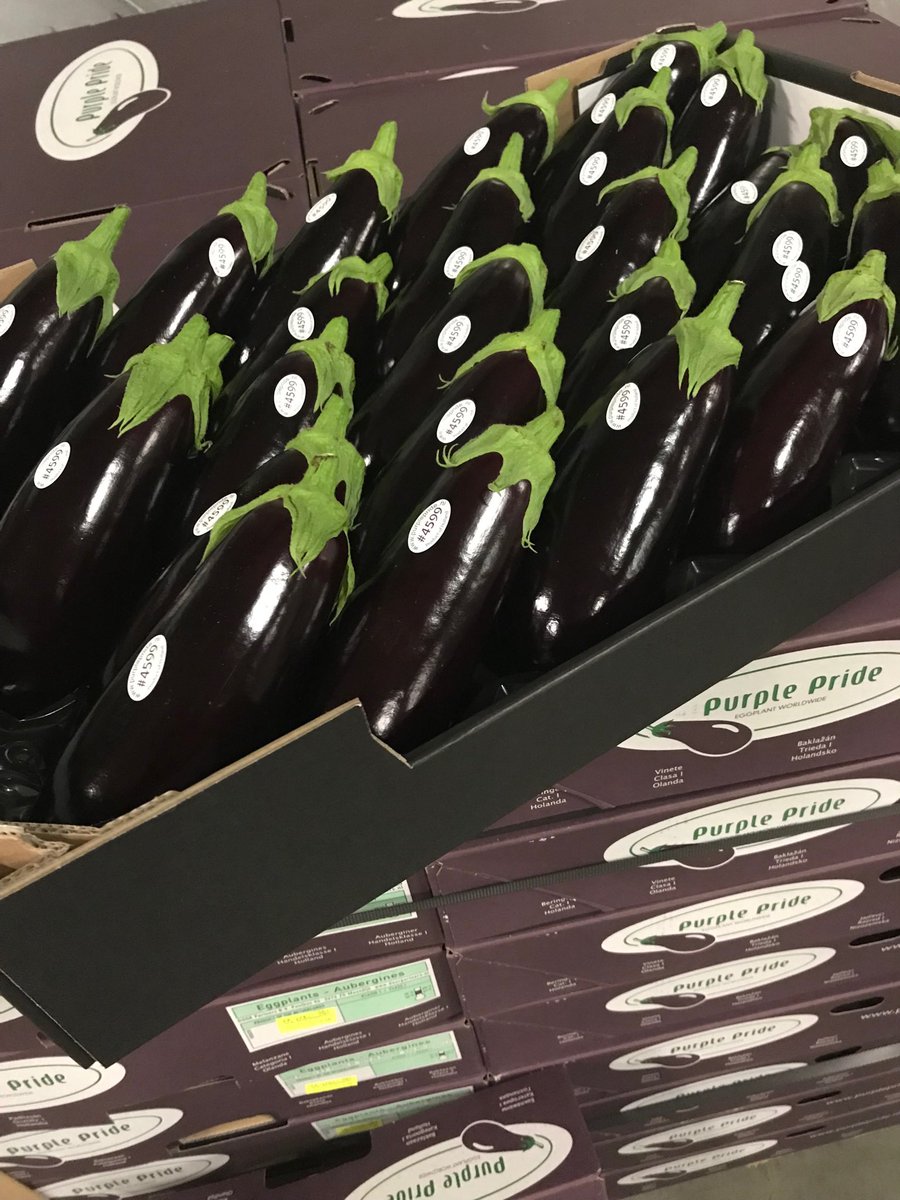 Ze zijn er weer #purplepride #aubergines #greenbrothers #vanhollandsebodem