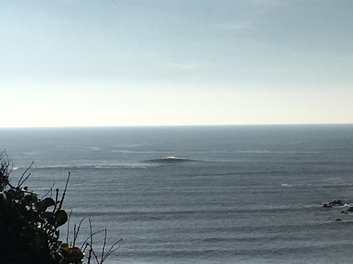 djksurf29's tweet photo. Swell just keeps on pumping...🏄🤙#Surfedout https://t.co/CeG61Z9dff