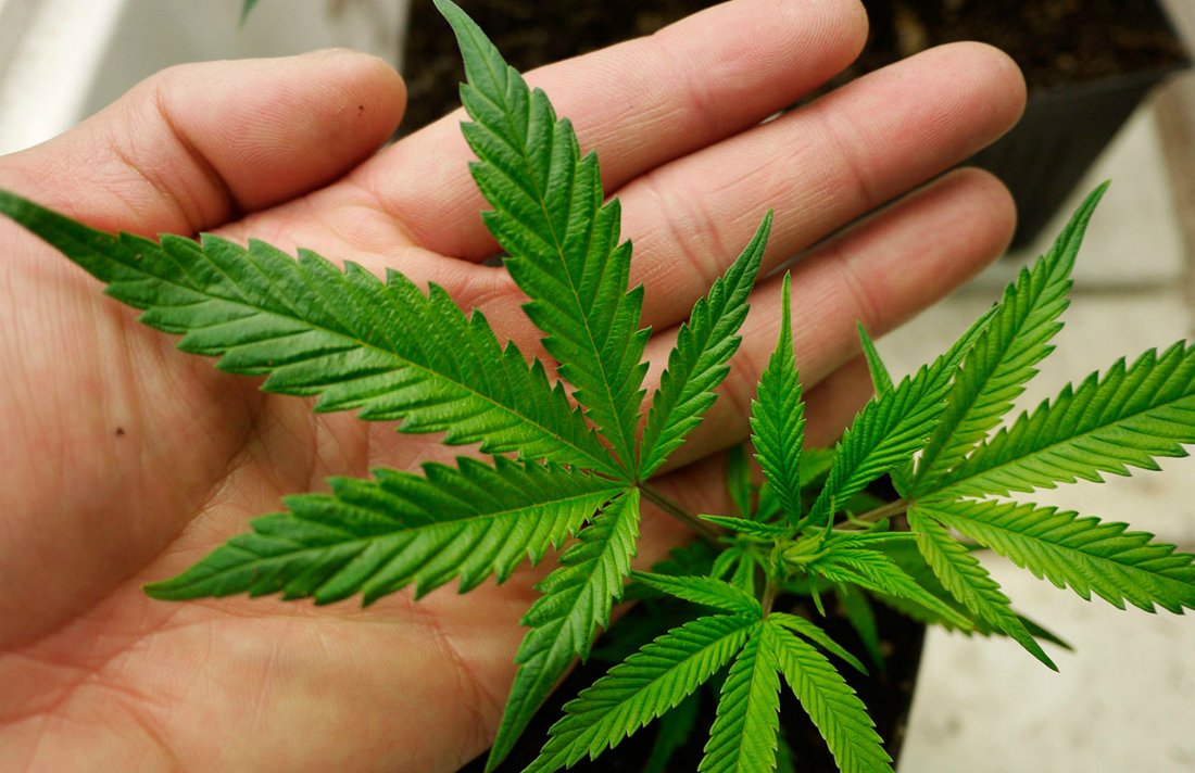 Pharmacology North Dallas tweet media