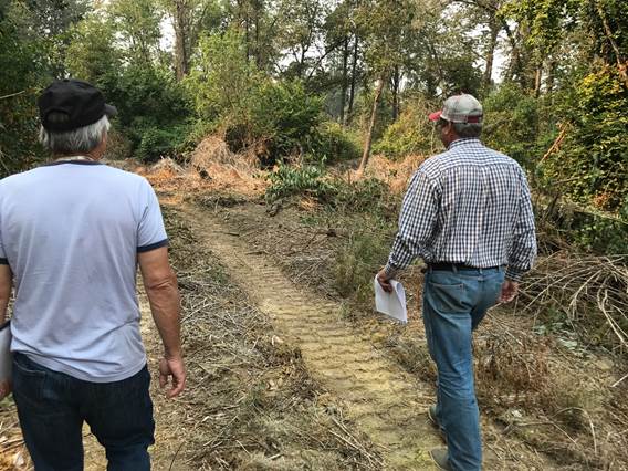 WildnoteApp's tweet image. New year, same commitment to providing our users with the best in #environmental digital technology and support. #WildnoteApp #newyearsameus