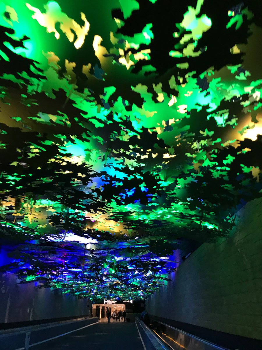 OutzenTerry's tweet photo. The jungle at Atlanta airport.. https://t.co/aGG7wrejwh