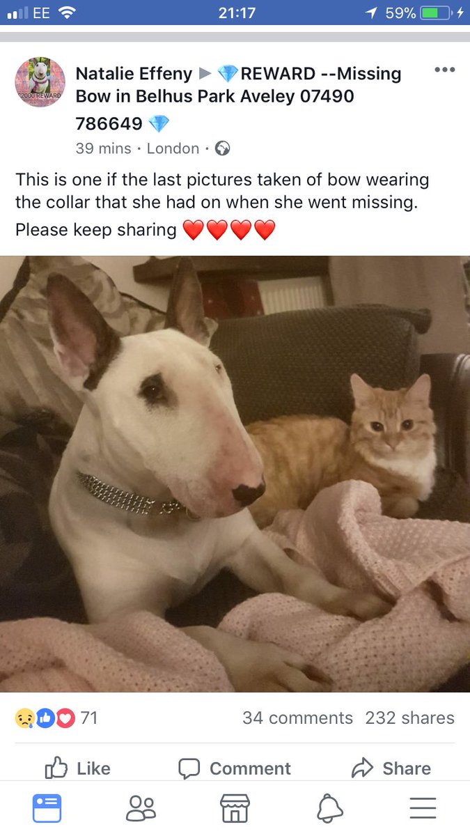 west_ham_mad1's tweet photo. #BigCats please share far and wide #findbow. #m25 #a13 https://t.co/HqffDVaUTM