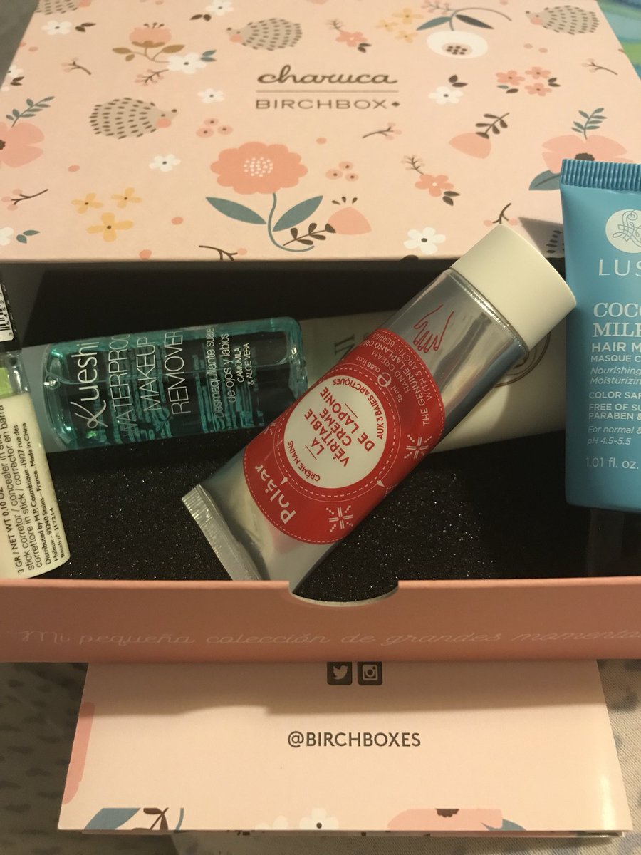 macarevargas's tweet photo. Preciosa cajita de este mes diseñada por Charuca 🌷🦔🌸 #BirchboxEs https://t.co/eY8Qag5Ht4