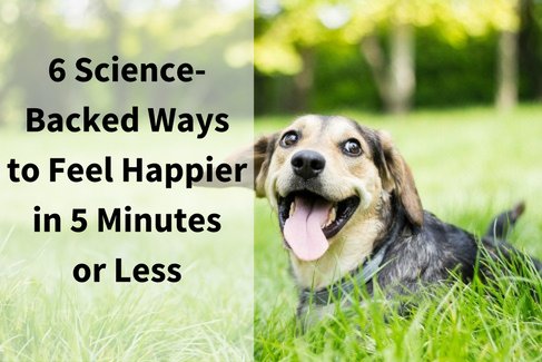 stem_jobs's tweet photo. Have the blues? Check out these ideas to help you feel #happy - instantly! https://t.co/47XIxgrV81 https://t.co/4YilJP33sV