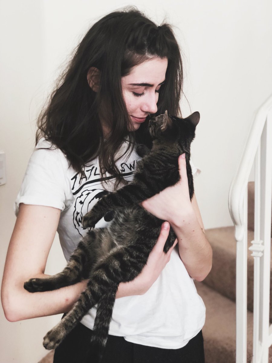 doddleoddle's tweet photo. KITTY NOSE BOOP https://t.co/4Thp2zOVPT