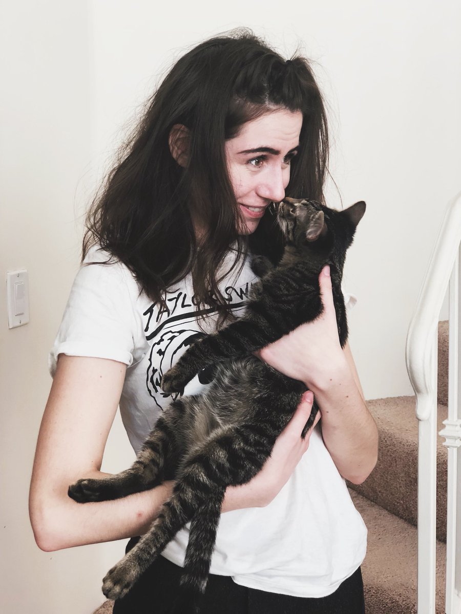 doddleoddle's tweet photo. KITTY NOSE BOOP https://t.co/4Thp2zOVPT