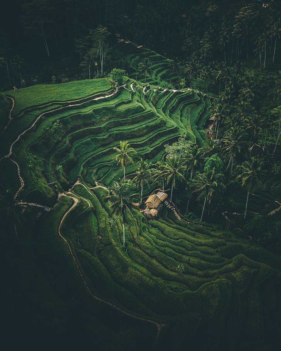 EarthPicPix's tweet photo. Bali, Indonesia 
Aka the place where everyone on Instragram goes. https://t.co/dSqfqKrCTK