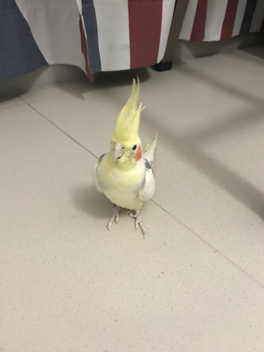 즘… Bluesky @KIDWMA tweet media