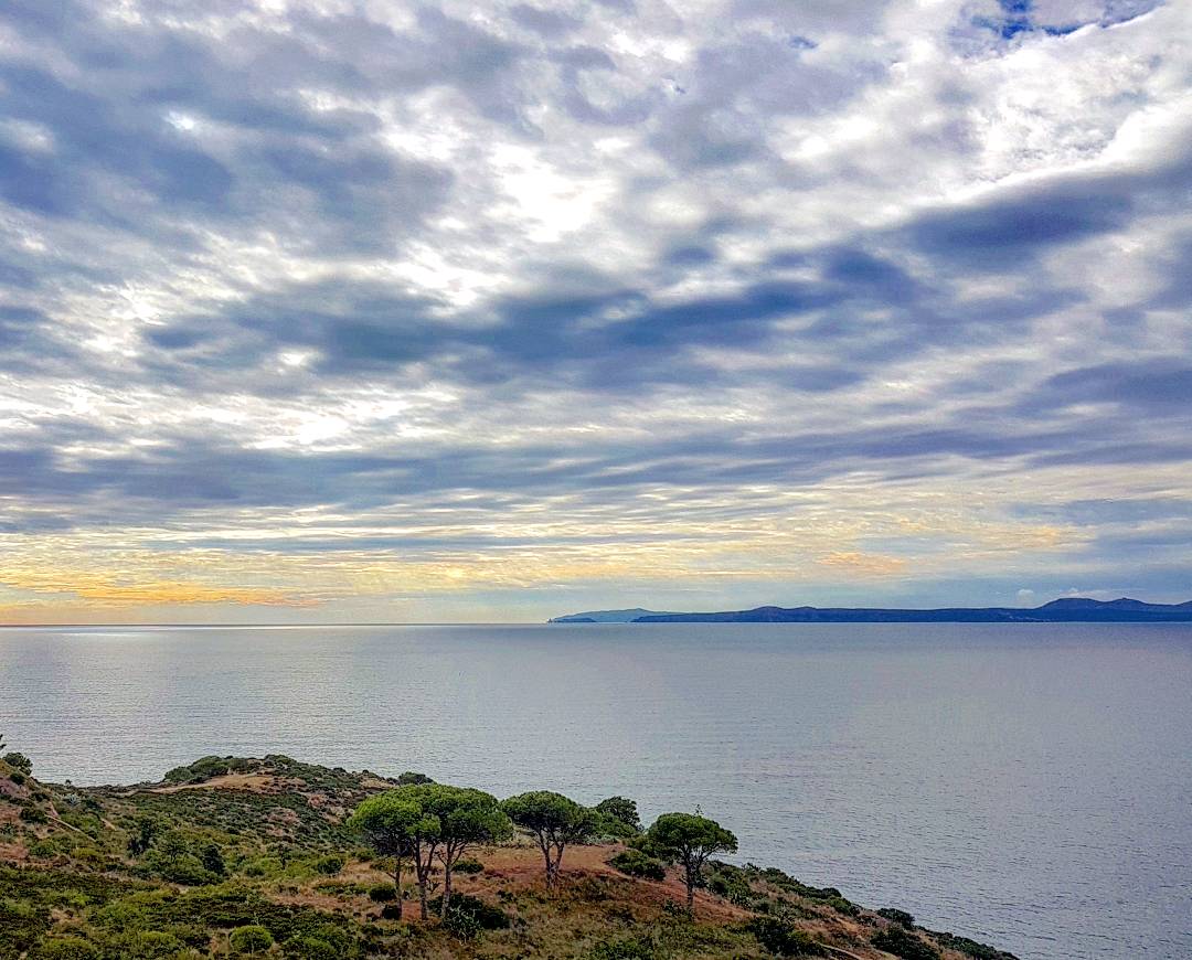 ricardrigall's tweet photo. Les Medes, el Montgrí i les muntanyes de Begur, vistos de Punta Falconera, a Roses. #roses #begur #puntafalconera #lesmedes #elmontgrí #altempordà #baixempordà #capdecreus #bicicleta #btt #mtb #hivern2017 https://t.co/W3sIbHk3bw