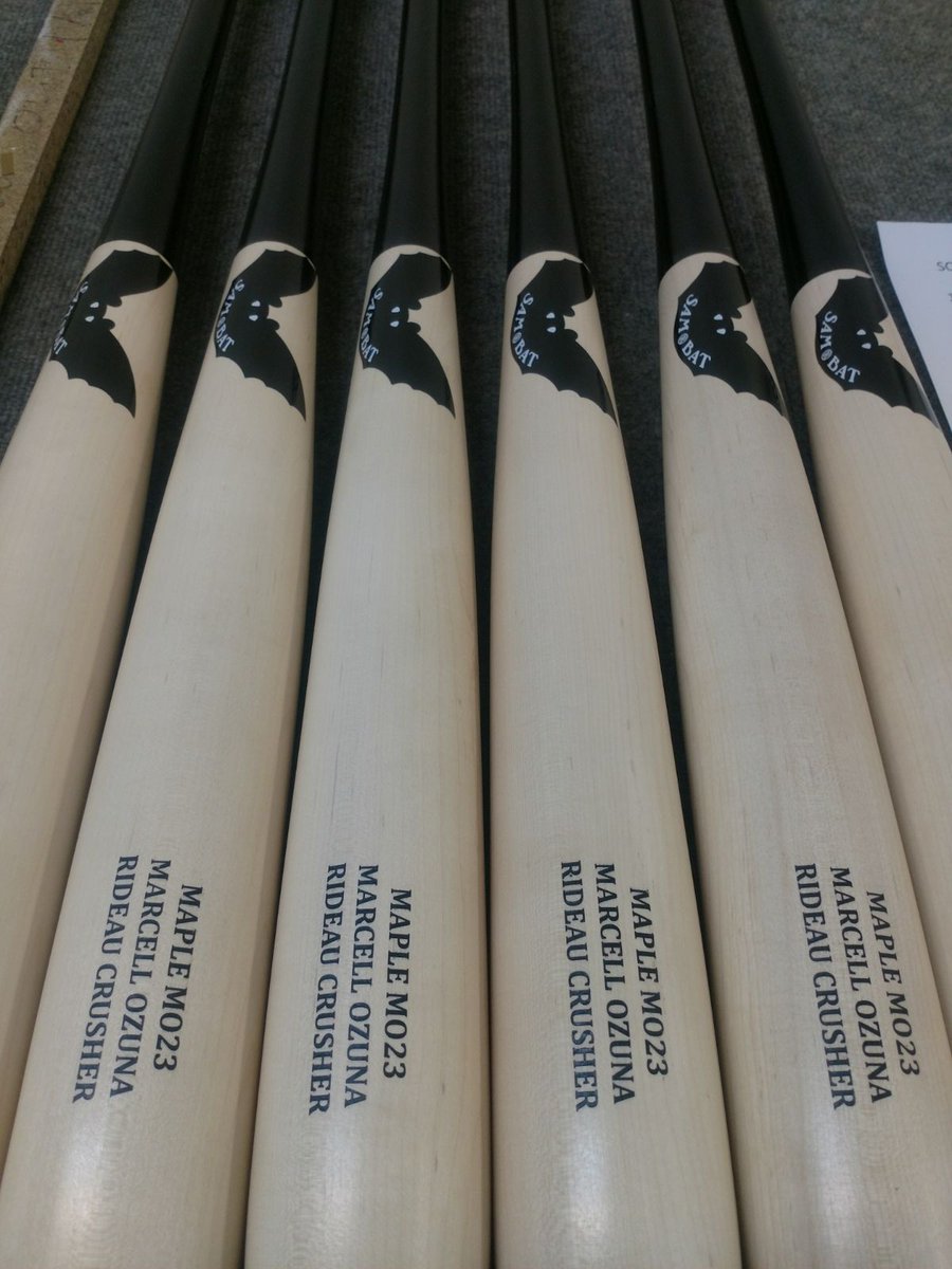 SamBatCorp's tweet photo. New year, new team, new number, same bat!  #ProBats #MO23 https://t.co/QPDt4c2965