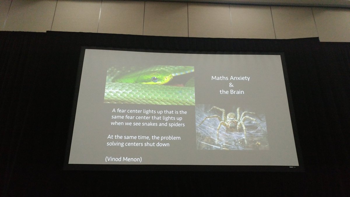 maanow's tweet photo. Math anxiety is widespread across cultures and genders. What you may not know -neoroscience shows that math anxiety lights up a fear center that is also activated by spiders and snakes. -@joboaler @Stanford #JMM2018 https://t.co/TpaojWaCVz