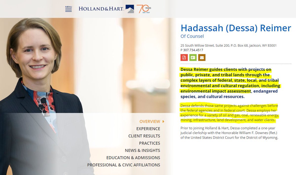 polymetpapers's tweet image. Maybe one more will help. Here's Hadassah Reimer of Holland and Hart, she "defends ... projects against challenges" #PolyMetPapers #mnleg