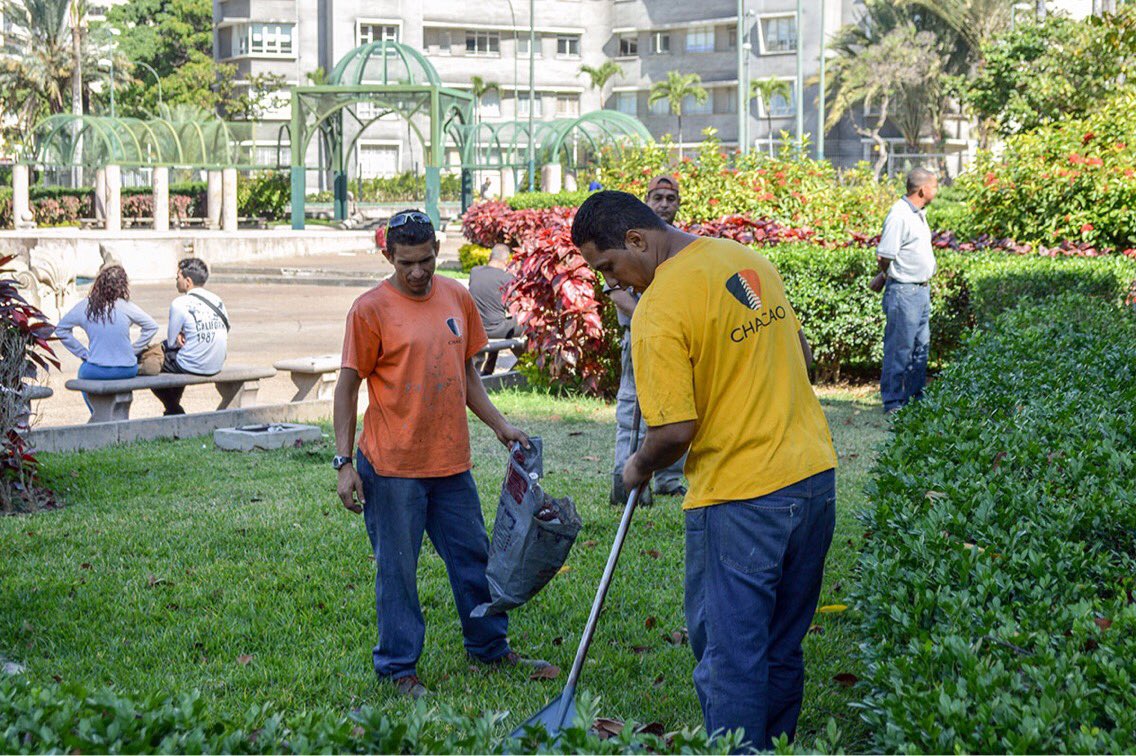 Chacao's tweet photo. Hoy estuvimos en la Plaza Francia de Altamira , ícono de la ciudad, haciendo labores de poda, limpieza, ornato, lavado profundo y reparaciones en toda la plaza, para darle una nueva cara. #trabajandoxchacao https://t.co/bS38qAHJKU