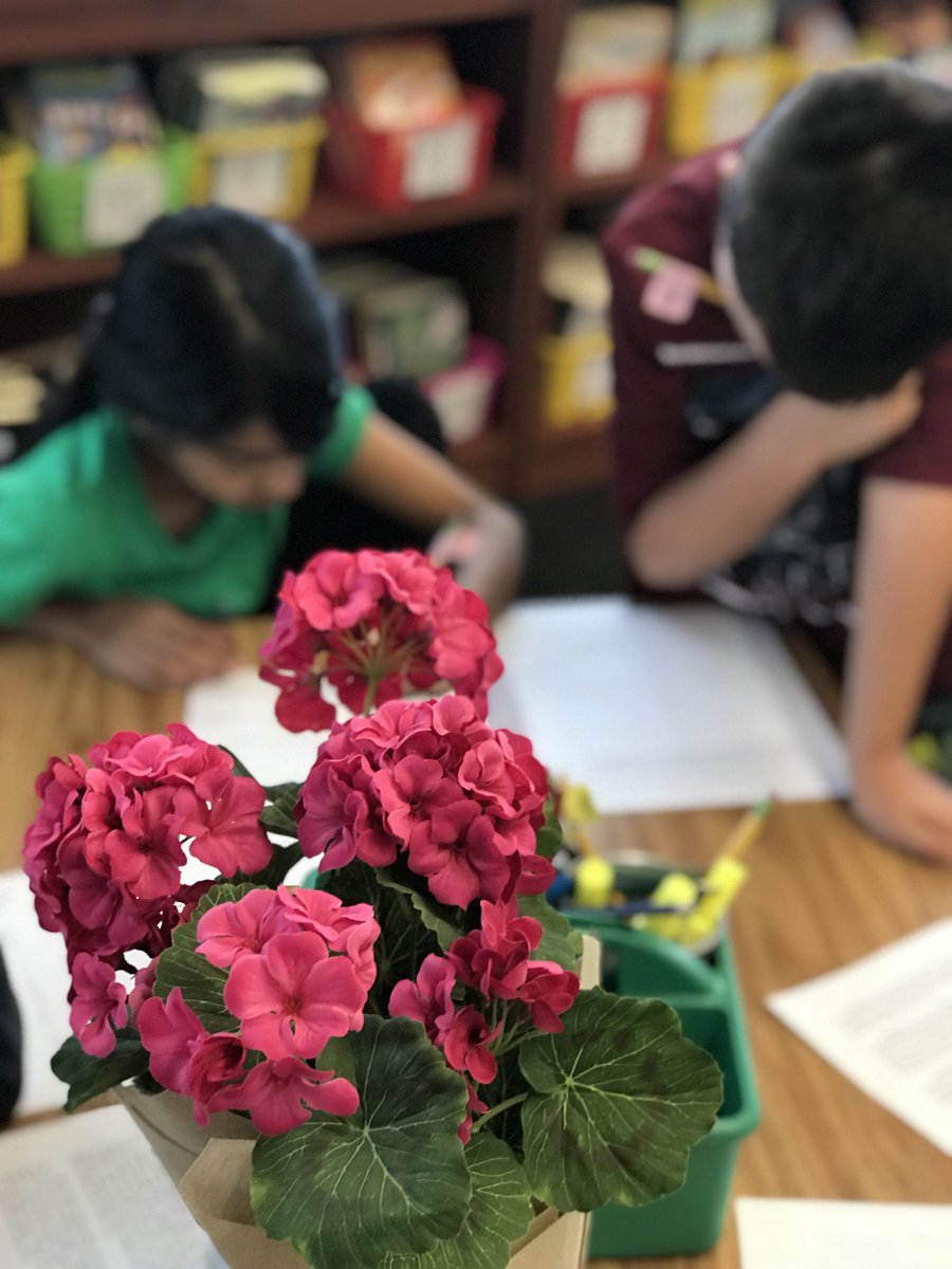 Mrs_Rago's tweet photo. Museum Share for Personal Essays. Amazing comments and critiques. #heathcotepride #organizedwriting #supportthatthesis https://t.co/EeVrWf9jJk