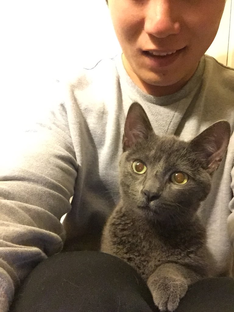 bibimpapi_'s tweet image. I can’t wait to go home and play with my cat.