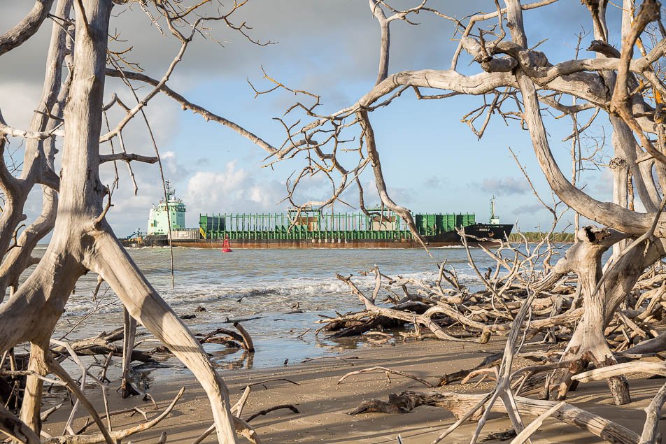cptnacional's tweet photo. REPORTAGEM ESPECIAL | #DesertoVerde - os monocultivos de eucalipto - controlado pela Fibria S.A ameaça sobrevivência de pescadores tradicionais da região Sul da Bahia, que são criminalizados por defender seus direitos territoriais e a RESEX Cassurubá. https://t.co/ShIR9hvDvM https://t.co/KIqwQk62BJ