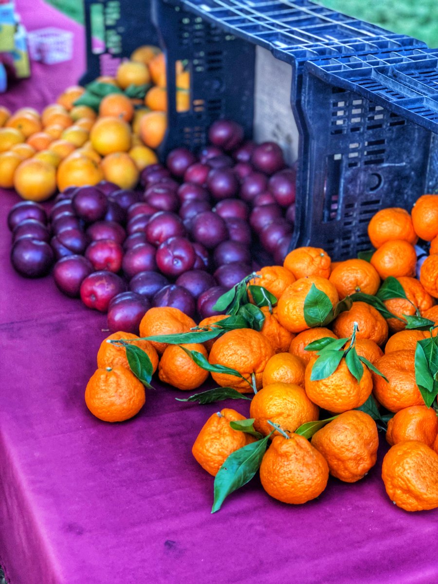 IntersectIrvine's tweet photo. Don’t forget to stop by the Origin between 10 am and 2 pm to check out Intersect’s Farmer’s Market! #intersectirvine #farmersmarket #marketplace #orangecounty #southerncalifornia #irvine #food #bbqtime #tamales #hinesoc #officelife #anotherdayattheoffice #workplacemeetswellness https://t.co/r4a5KjvZdX