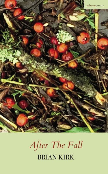 ShaunaGilligan1's tweet image. Brian Kirk chats to me about “After The Fall” (Salmon Poetry, 2017) shaunagilliganwriter.wordpress.com/2018/01/11/bri…