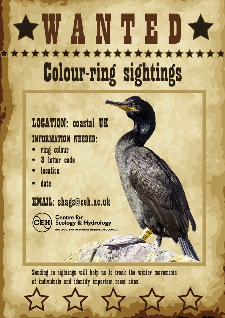 UKCEHseabirds tweet media