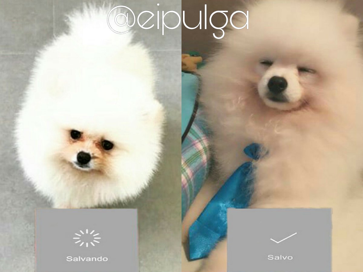 eipulga_'s tweet photo. Evolução do pupu❤
{@eibrunagomes e @felipeneto} https://t.co/a0aSS6HLV0