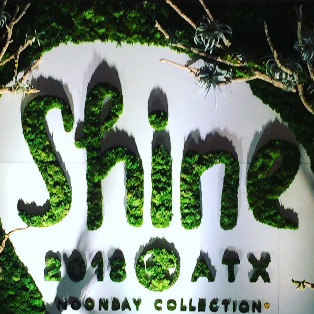 “Where courage is required, self-compassion is a necessity.” <a href="/jessicahonegger/">Jessica Honegger</a> #NoondayShine2018