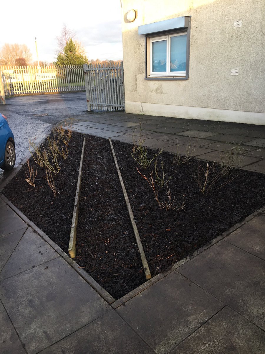AnnickPS's tweet photo. A huge thank you to the Team from  @essentials_plus who worked wonders in our school gardens today. Great to have you working with us - you all worked super hard in the cold! @AutismSociety @NAC_CEO @North_Ayrshire https://t.co/eIVenK3nCx