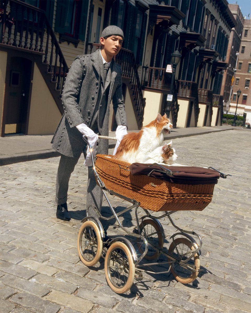 ThomBrowne's tweet photo. ... kittens ...
#thombrowne
fall 2017 for @BarneysNY
ph: #charlieengman
style: #haleywollens https://t.co/flfNAk9cQq
