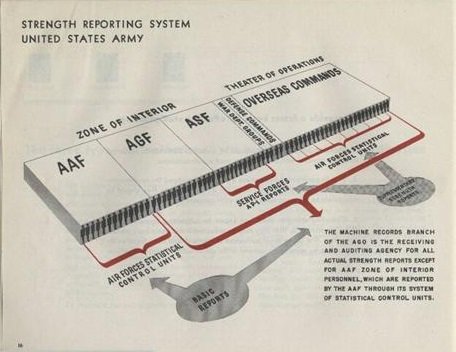 Pm Ase Organization Chart