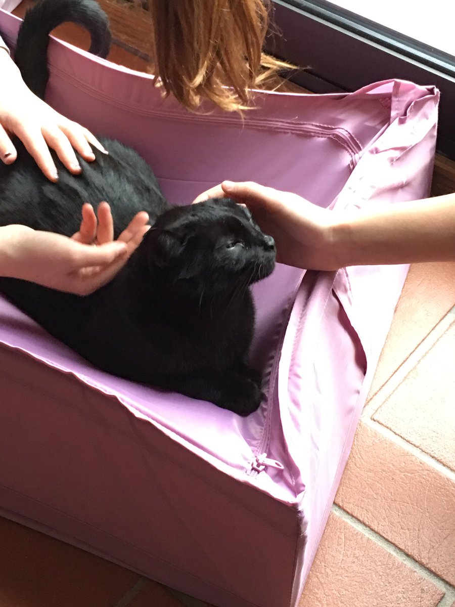 C: Es ist schön, so geliebt zu werden!❤