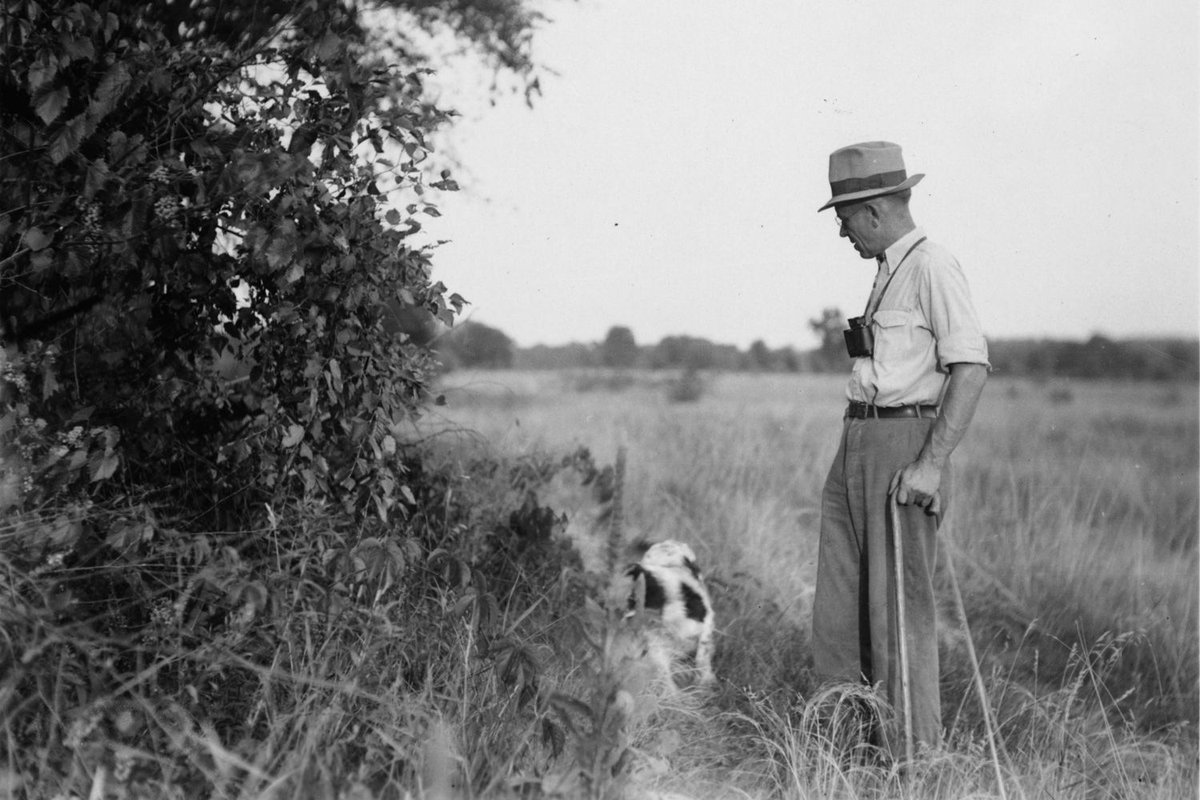 TAMU_NRI's tweet photo. An ode to Aldo Leopold, born today in 1887. Here he's photographed with Flick c. 1944, 4 years before he published "Land Ethic", the finale to A Sand County Almanac, a call for moral responsibility to the natural world. https://t.co/kfdDrW0fjI