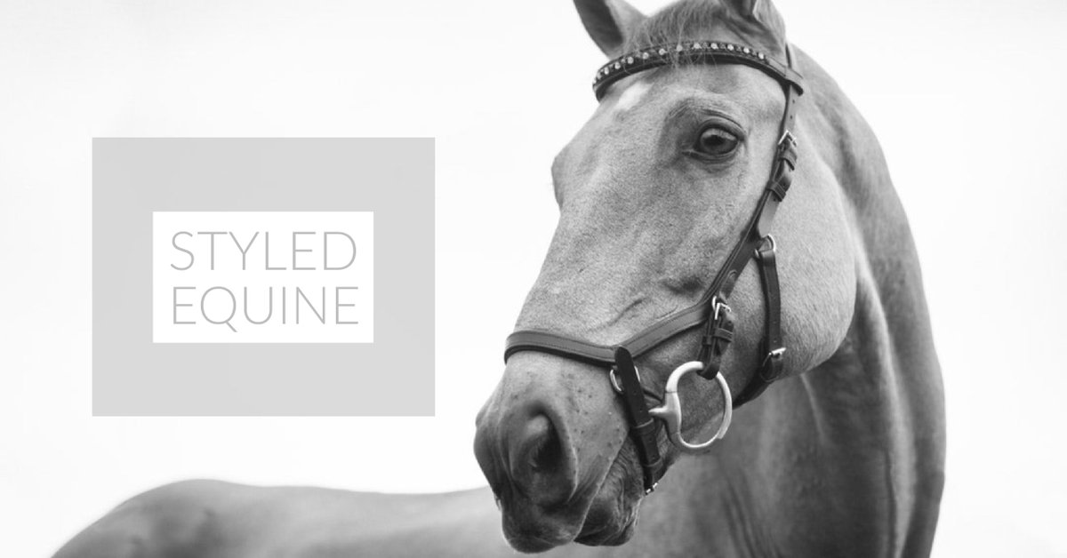 Getting more and more excited for 2018! If you have any suggestions or ideas for the SE website or brand, I’d love to hear them! 🦄💕