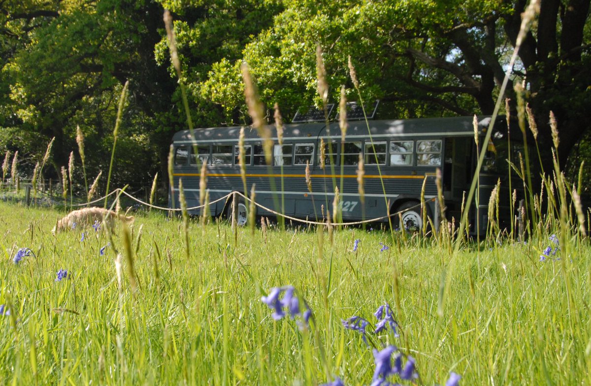 busnbreakfast tweet media