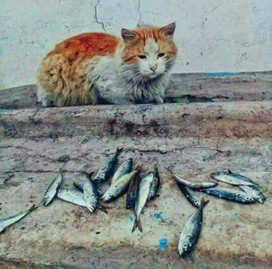 عند برود القلب اتجاه شيئ كان يعشقه !

ليت لي قلباً كقلبها💔