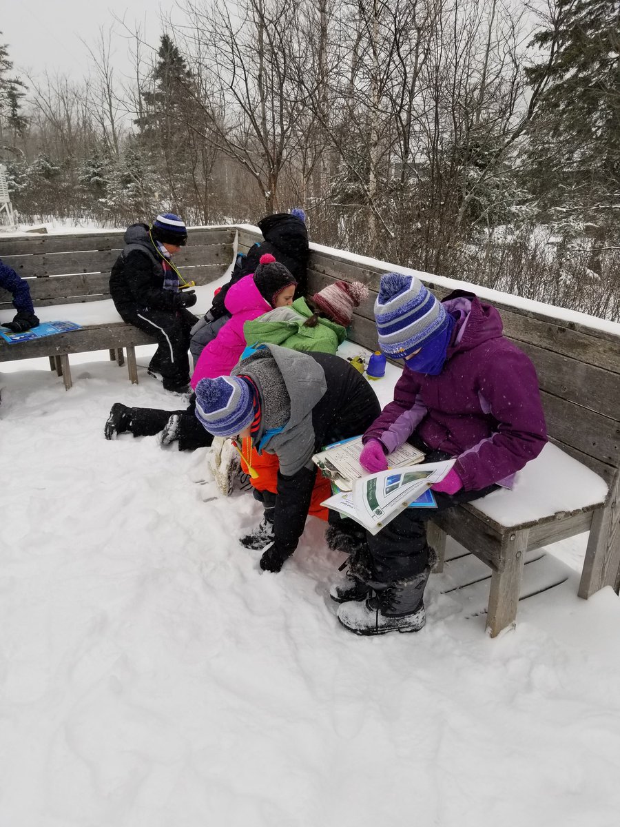 Lance Stendal tweet media